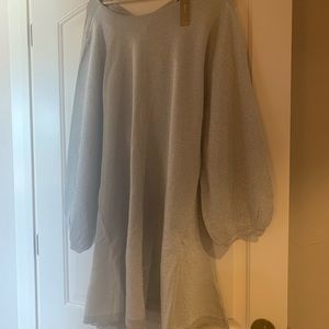 J Crew silver dress size 3x